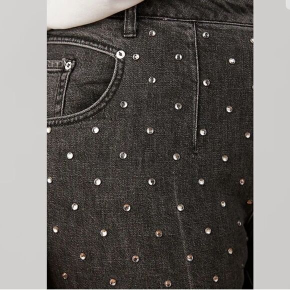 Anthropologie Pilcro and the Letterpress Beaded High Rise Slim Jeans NEW Size 27 - Picture 3 of 10